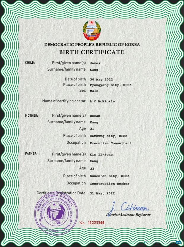 Download North Korea birth certificate PSD template Photoshop template